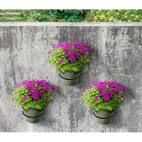 TQVAI 6 inch Flower Pot Holder Ring Wall Mounted 3 Pack Metal Plan...