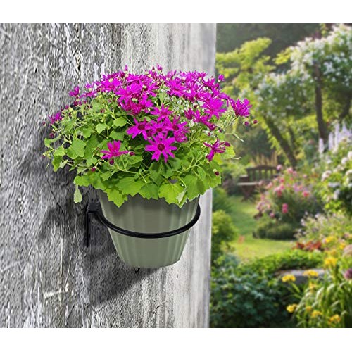 TQVAI 6 inch Flower Pot Holder Ring Wall Mounted 3 Pack Metal Plan...