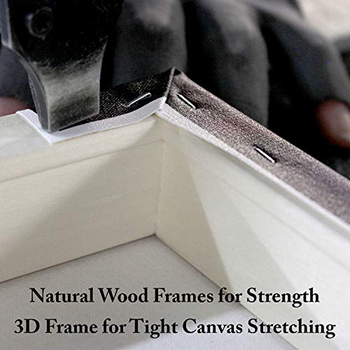 Trademark Fine Art Professional Blank White Canvas on Stretcher Ba...