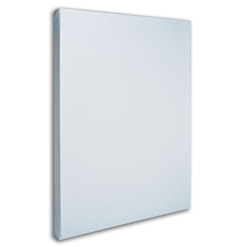 Trademark Fine Art Professional Blank White Canvas on Stretcher Ba...