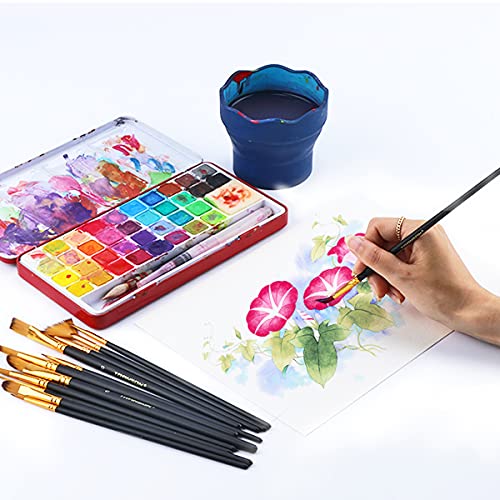 Transon Art Painting Brush Assorted Set of 12 for Acrylic Watercol...