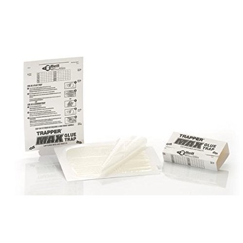 Trapper Max Mouse & Insect Glue Boards-12 boards BELL-1049 by Trapper