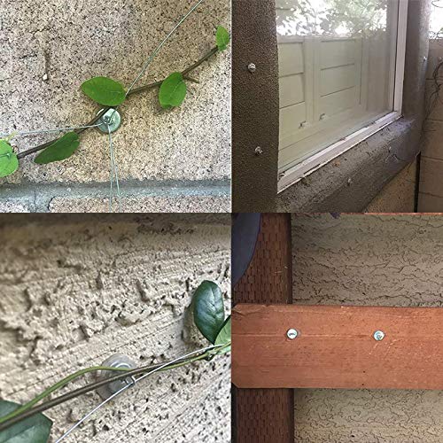 Trellis Anchor Plants, Vine, Trellis Design Kit 100-Piece Plant An...