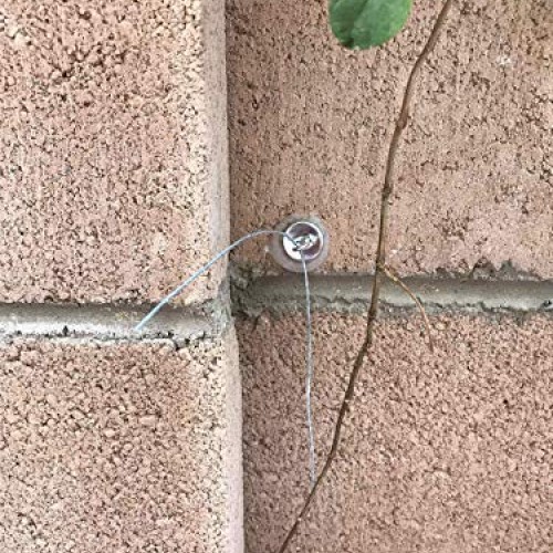 Trellis Anchor Plants, Vine, Trellis Design Kit 100-Piece Plant An...