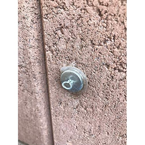 50-Piece Anchors for Trellis, Vine, Wall Climbing Plants, Lighting...