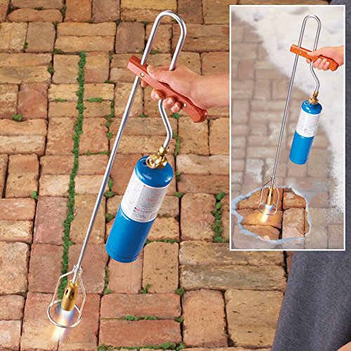 Trenton Gifts Propane Torch for Killing Weeds, De-Icer, Small Flam...