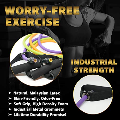 TRIBE Resistance Bands Set and Weights for Exercises I Exercise Ba...