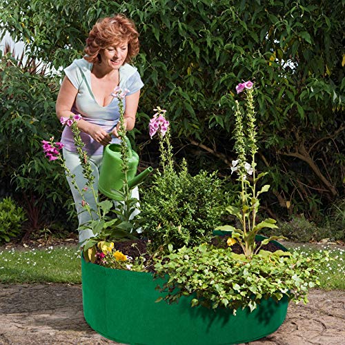 Fabric Garden Bed,15 Gallon Growing Bag Planting Containers Fabric...