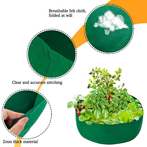 Fabric Garden Bed,15 Gallon Growing Bag Planting Containers Fabric...