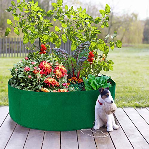 Fabric Garden Bed,15 Gallon Growing Bag Planting Containers Fabric...