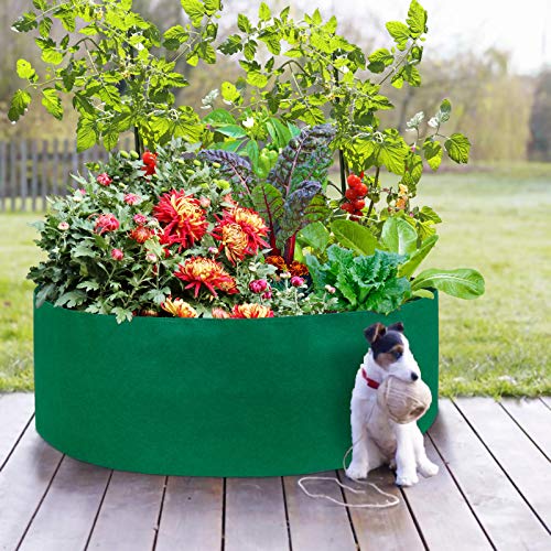 Fabric Garden Bed,50 Gallon Growing Bag Planting Containers Fabric...