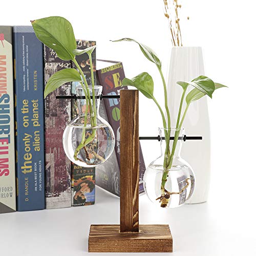 TRIEtree Glass Planter Bulb Vase Hydroponics Plants Flowerpot with...