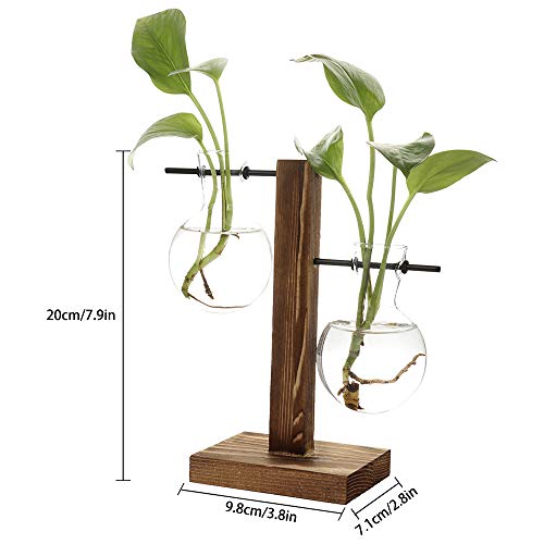 TRIEtree Glass Planter Bulb Vase Hydroponics Plants Flowerpot with...