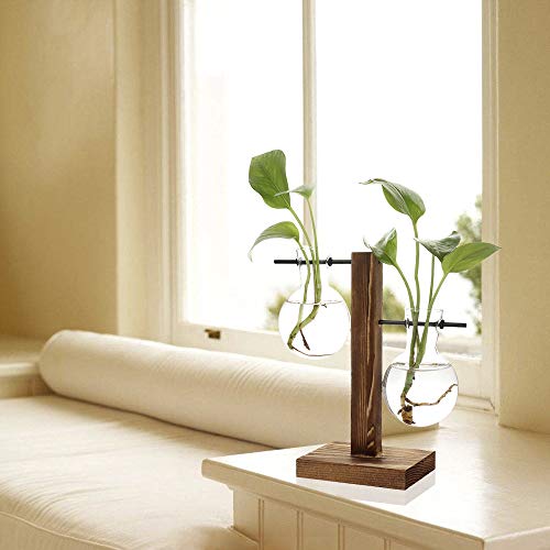 TRIEtree Glass Planter Bulb Vase Hydroponics Plants Flowerpot with...