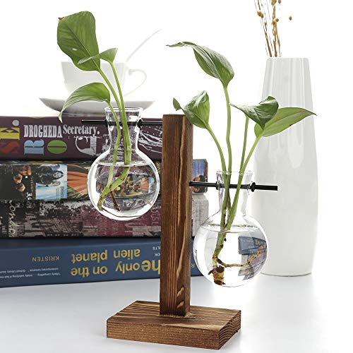TRIEtree Glass Planter Bulb Vase Hydroponics Plants Flowerpot with...