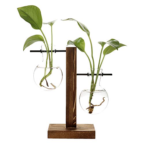 TRIEtree Glass Planter Bulb Vase Hydroponics Plants Flowerpot with...