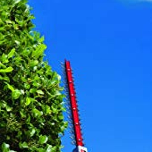 TrimmerPlus TPH721 22-Inch Dual Hedger Attachment Capable String T...