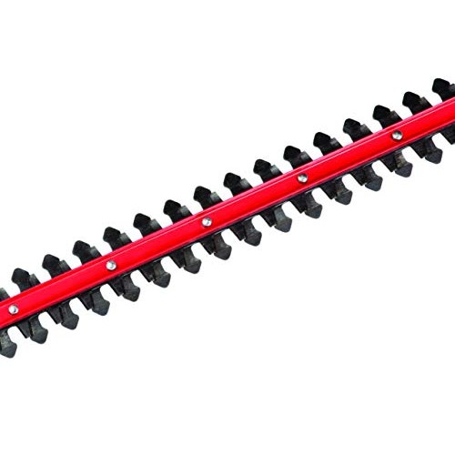 TrimmerPlus TPH721 22-Inch Dual Hedger Attachment Capable String T...