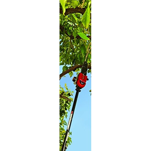 TrimmerPlus TPP720 8 Polesaw with Bar and Chain Attachment for At...