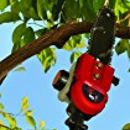 TrimmerPlus TPP720 8 Polesaw with Bar and Chain Attachment for At...