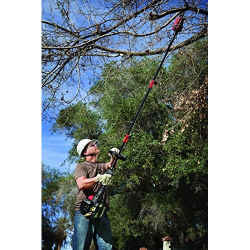 TrimmerPlus TPP720 8 Polesaw with Bar and Chain Attachment for At...
