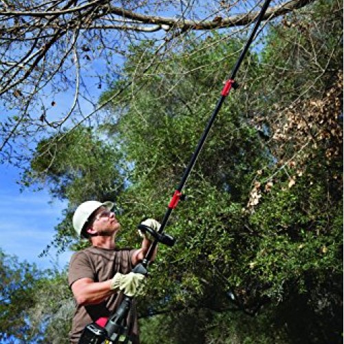 TrimmerPlus TPP720 8 Polesaw with Bar and Chain Attachment for At...
