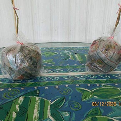 2 Chinẹsẹ Bluẹ Wistẹriá Trẹẹ Trẹẹ Livẹ Plạnt - Táll 14 tọ 18 f...
