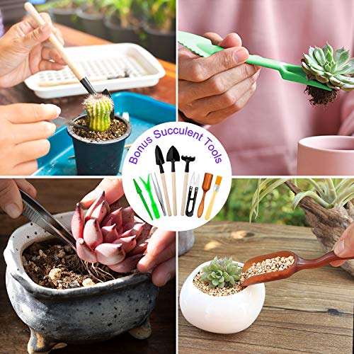 Tudoccy Garden Tools Set 83 Piece Succulent Tools Set Included, He...