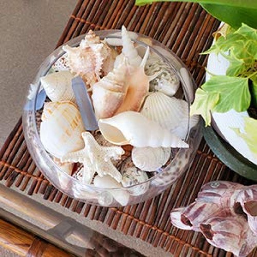 Real Seashells with Bright Sea Glass - Home Decor, Wedding Centerp...