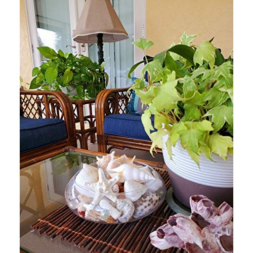 Real Seashells with Bright Sea Glass - Home Decor, Wedding Centerp...