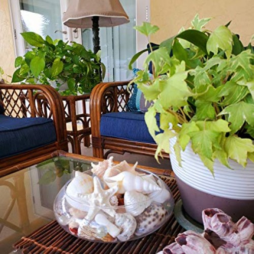 Real Seashells with Bright Sea Glass - Home Decor, Wedding Centerp...