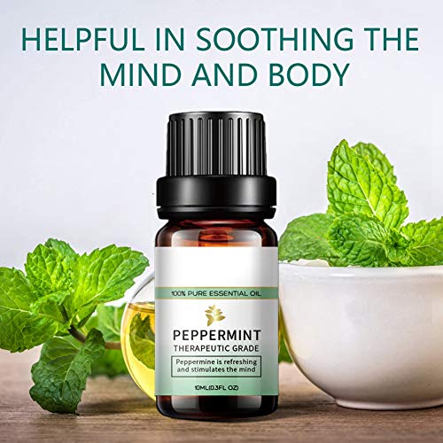 Peppermint Tea Tree Lavender Eucalyptus Pure Essential Oils 10ml, ...