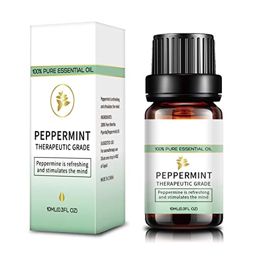 Peppermint Tea Tree Lavender Eucalyptus Pure Essential Oils 10ml, ...