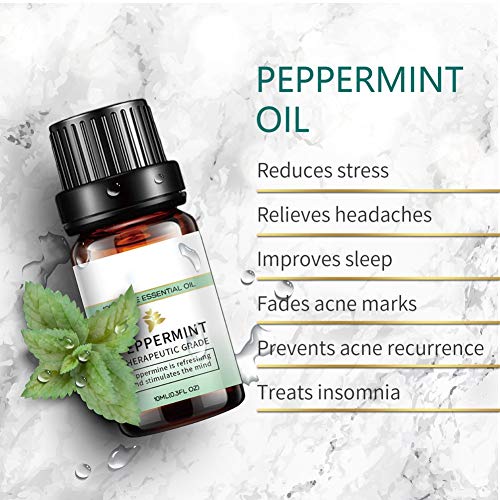 Peppermint Tea Tree Lavender Eucalyptus Pure Essential Oils 10ml, ...