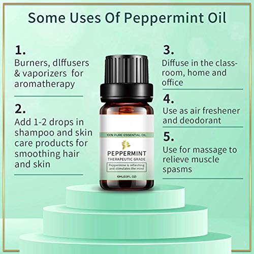 Peppermint Tea Tree Lavender Eucalyptus Pure Essential Oils 10ml, ...