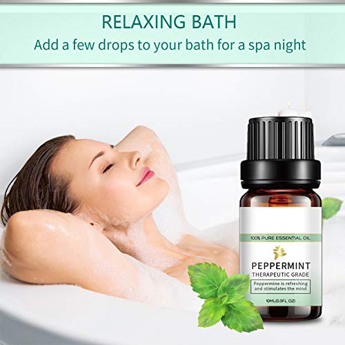 Peppermint Tea Tree Lavender Eucalyptus Pure Essential Oils 10ml, ...