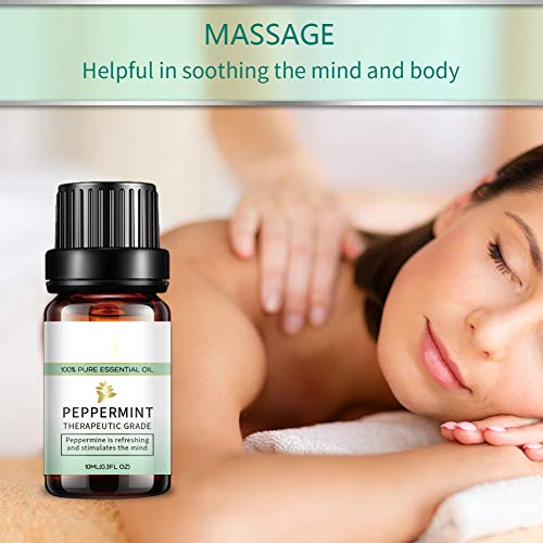 Peppermint Tea Tree Lavender Eucalyptus Pure Essential Oils 10ml, ...