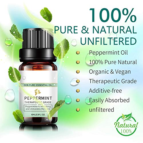 Peppermint Tea Tree Lavender Eucalyptus Pure Essential Oils 10ml, ...