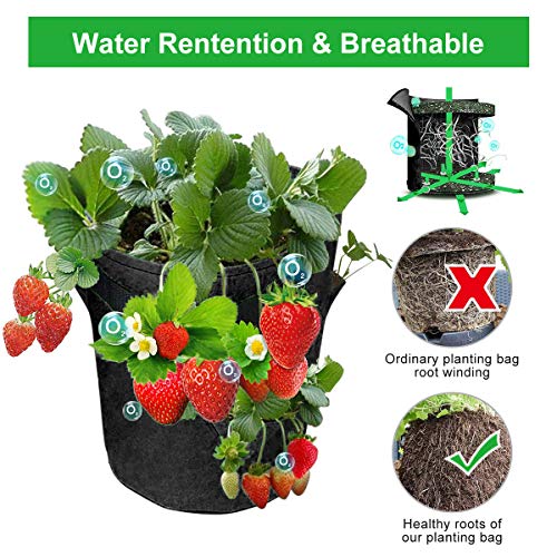 Tvird Strawberry Planting Bags 2 Pack 10 Gallon Planting Pouch Fab...