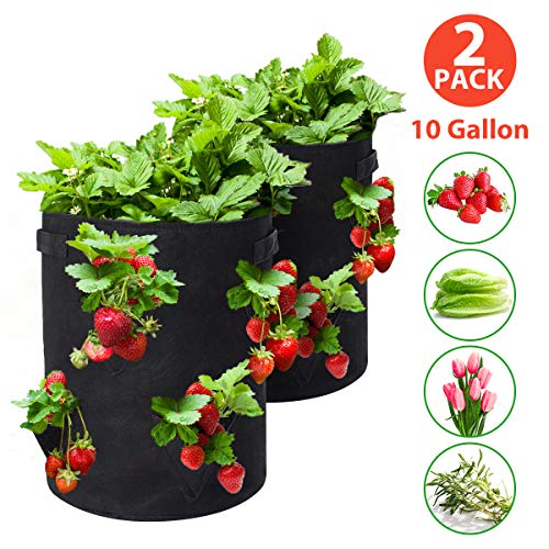 Tvird Strawberry Planting Bags 2 Pack 10 Gallon Planting Pouch Fab...
