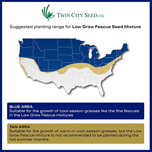 Twin City Seed Co. Low Grow Fescue Seed Mixture | Low Maintenance ...