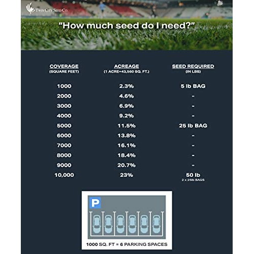 Twin City Seed Co. Low Grow Fescue Seed Mixture | Low Maintenance ...