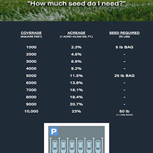 Twin City Seed Co. Low Grow Fescue Seed Mixture | Low Maintenance ...