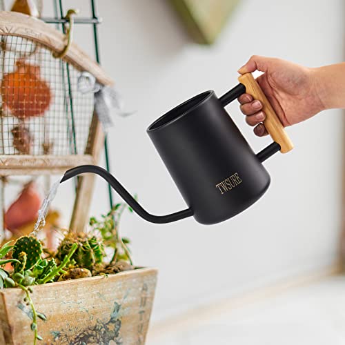 Watering Can Indoor Plants,Small Watering Can,Stainless Steel Plan...