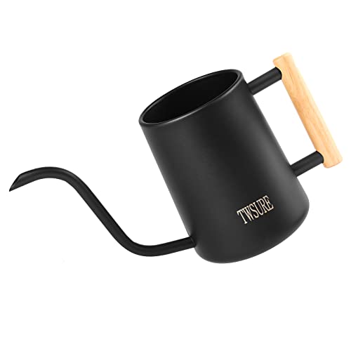 Watering Can Indoor Plants,Small Watering Can,Stainless Steel Plan...