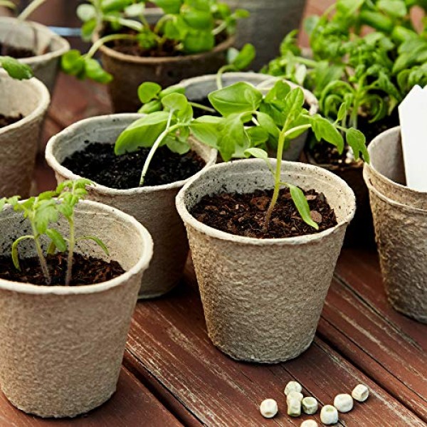 U+ME Eco Friendly Organic 3 Peat Pots | 60 Seed Planting Pots + P...
