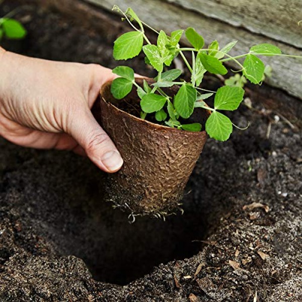 U+ME Eco Friendly Organic 3 Peat Pots | 60 Seed Planting Pots + P...