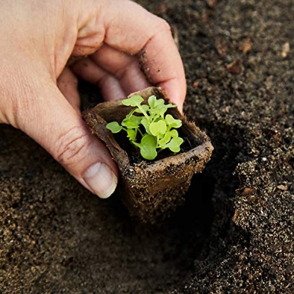 U+ME Organic Peat Pots Seed Starter Tray | 120 Seed Planting Pots ...
