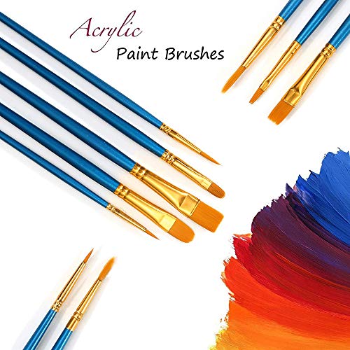 20 Pcs Paint Brushes for Acrylic Painting