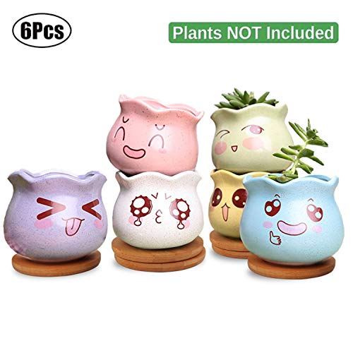 Ufrount Ceramic Succulent Planter Pot with Drainage,Cartoon Expres...